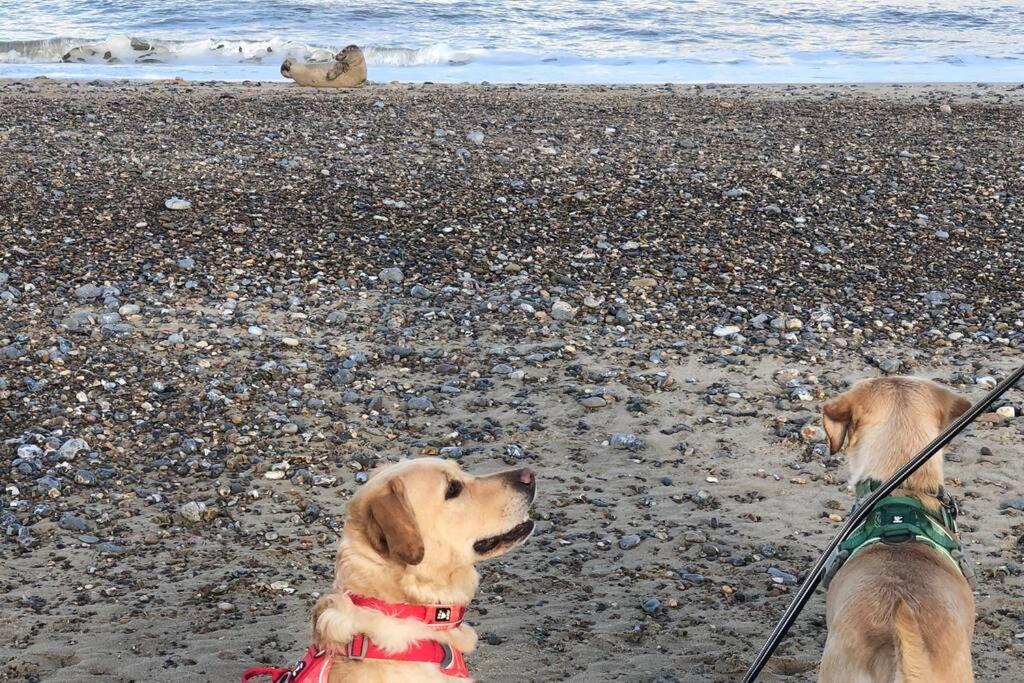Dog Friendly Cottage 2 Mins To Beach With Hot Tub And Zappi Ev Lessingham Kültér fotó