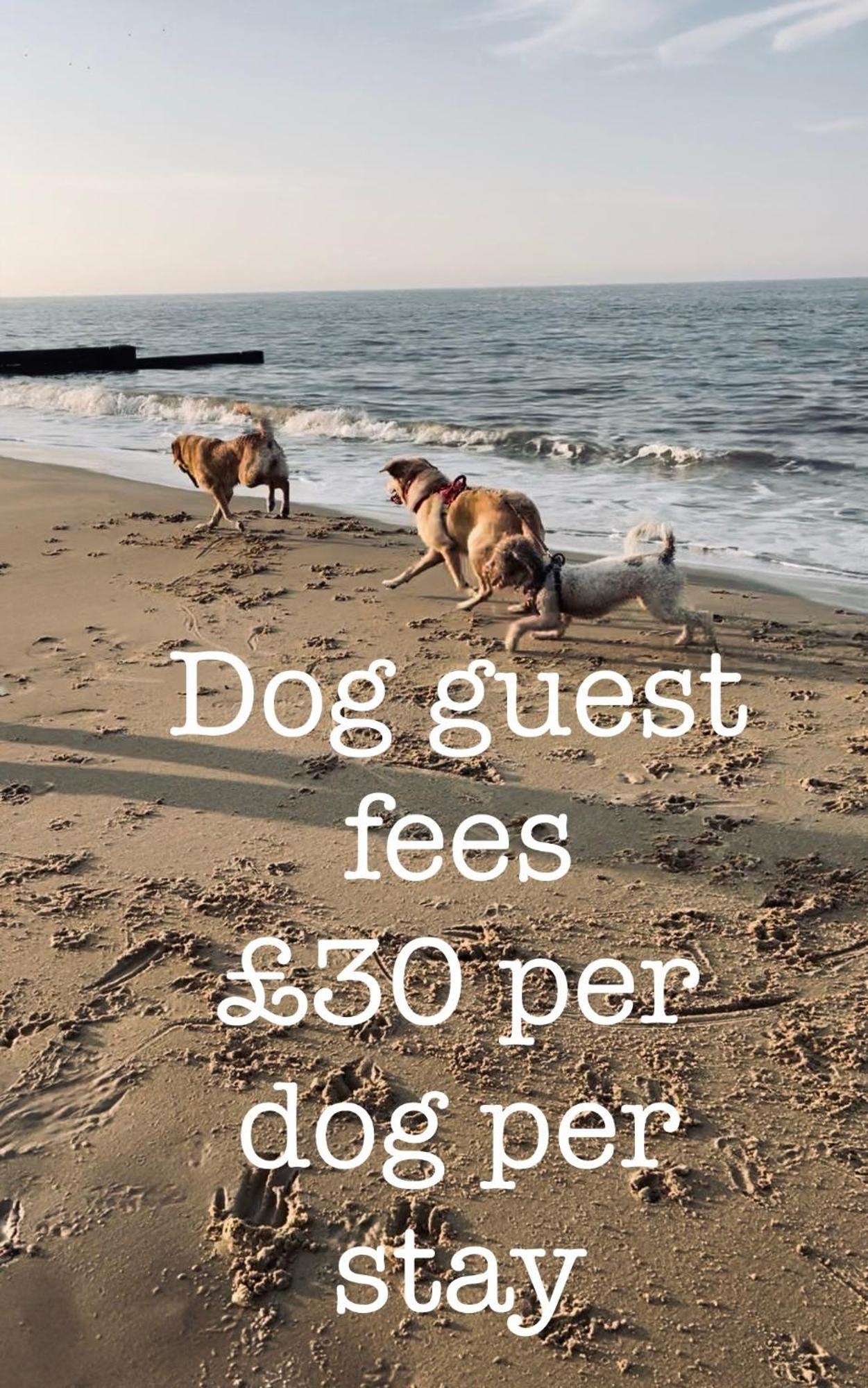 Dog Friendly Cottage 2 Mins To Beach With Hot Tub And Zappi Ev Lessingham Kültér fotó